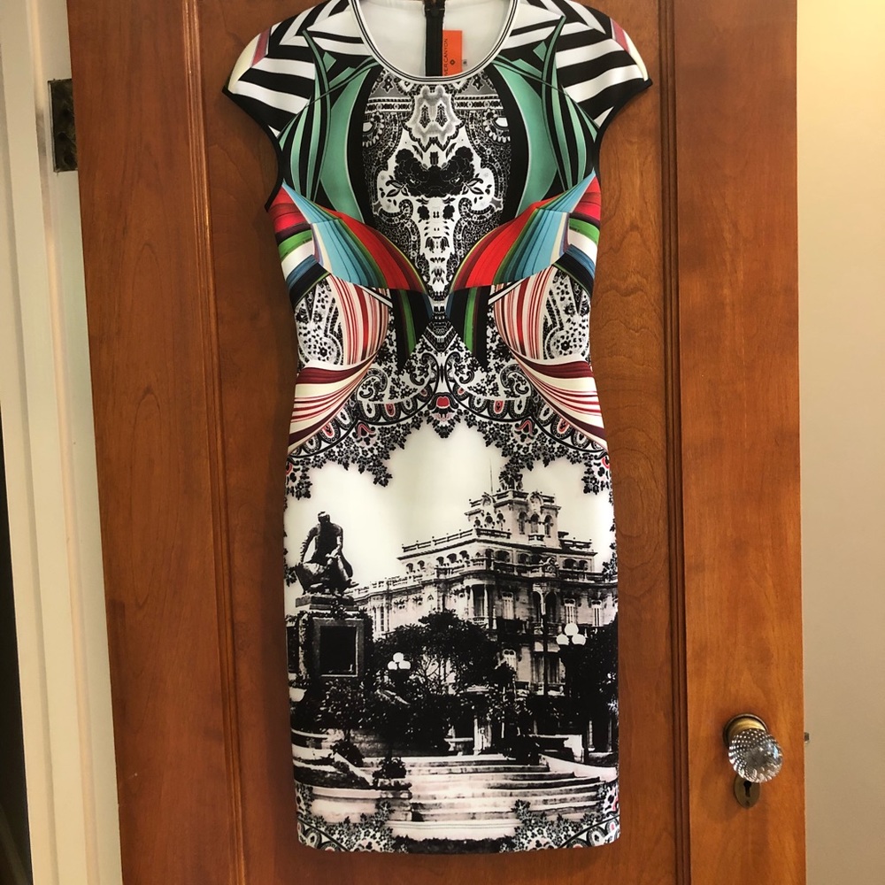 Lovely Clover Canyon dress!